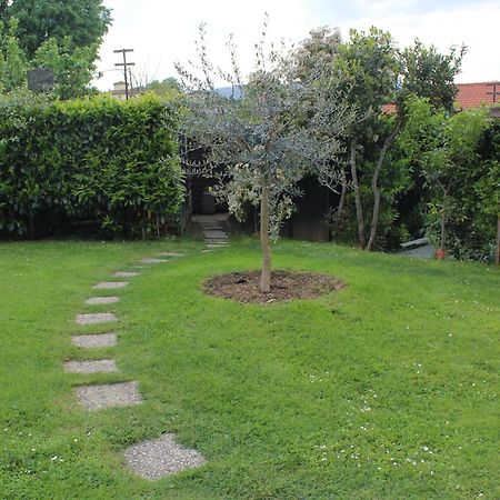 Affittacamere La Torre Tegoleto Dış mekan fotoğraf