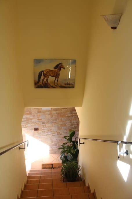 Affittacamere La Torre Tegoleto Dış mekan fotoğraf